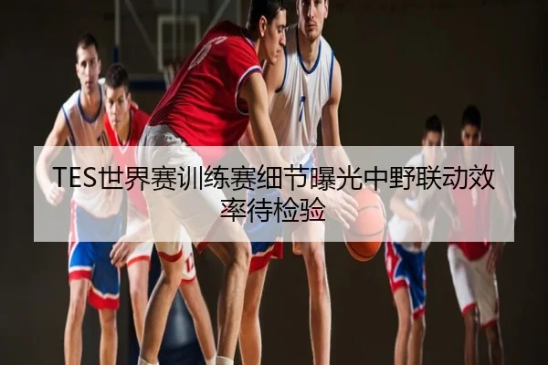 TES世界赛训练赛细节曝光中野联动效率待检验